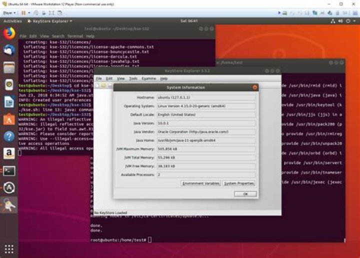 Problem with openjdk-8-jre upgrade