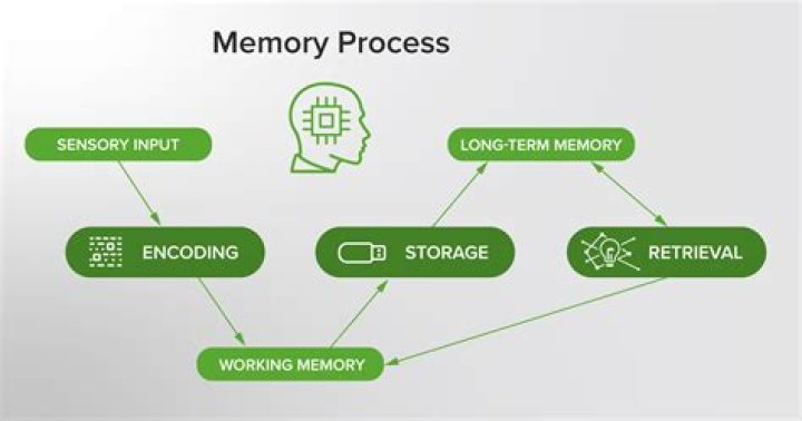 Process gets killed with Out of Memory - How to limit memory for the process?
