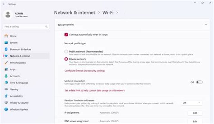 Public wireless access point on a private network