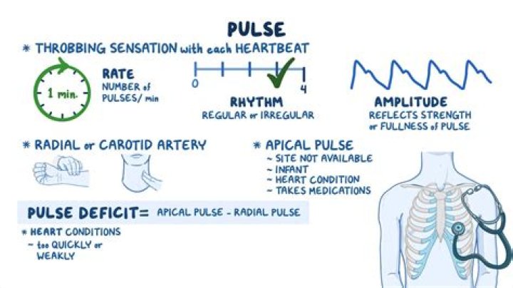 Pulse