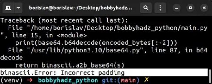 Python: Ignore 'Incorrect padding' error when base64 decoding
