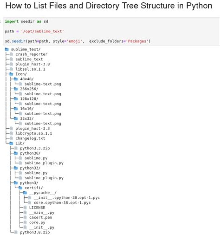 Python Library folder
