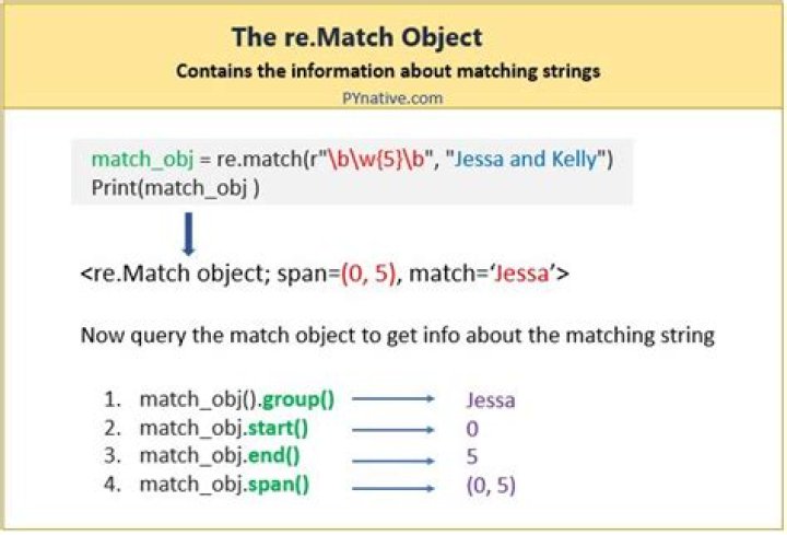 Python regex match space only