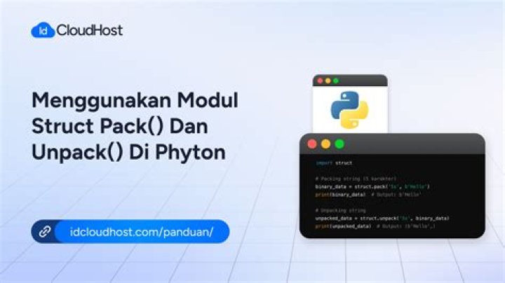 Python struct.pack and unpack