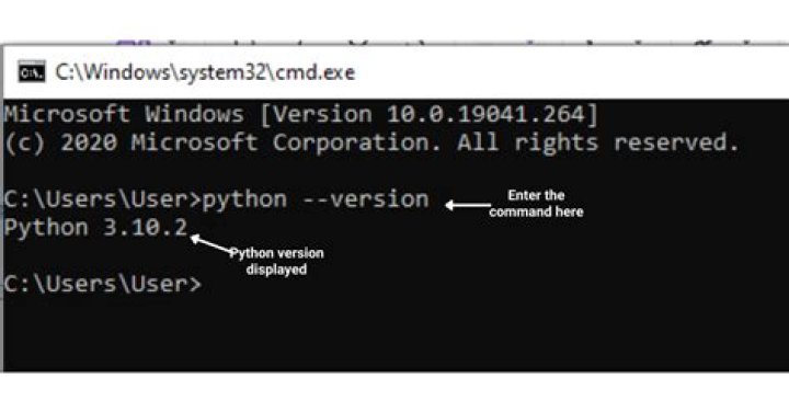Python version