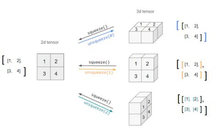 Pytorch squeeze and unsqueeze