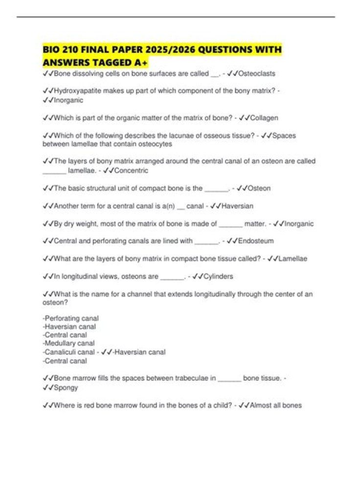 
Questions tagged [samba4] 