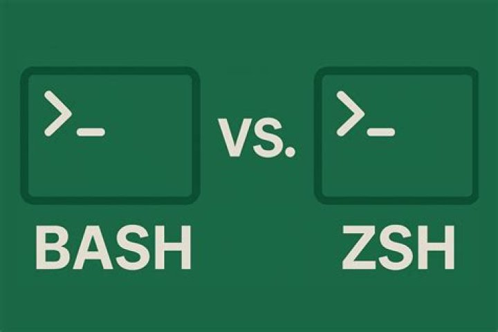 read in Bash and ZSH