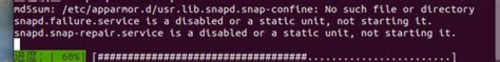 Receiving the error: snapd.snap-repair.service is a disabled or a static unit, not starting it
