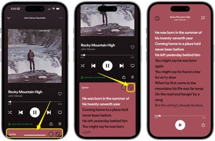 Remove Spotify pop-up notification when a song starts