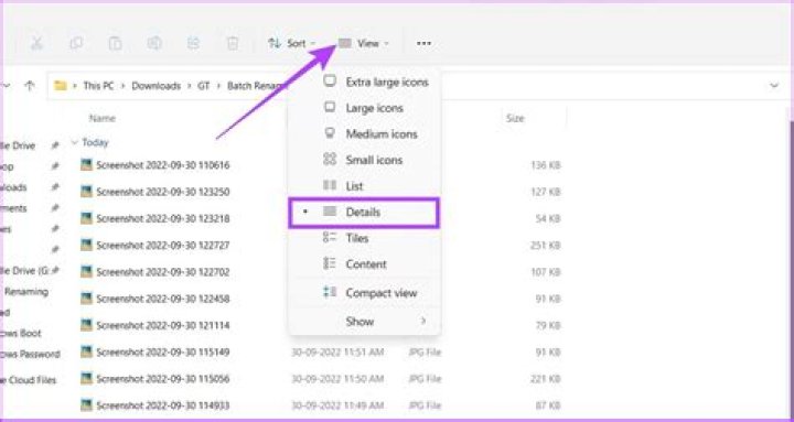 Rename files of the same name in multiple subdirectories