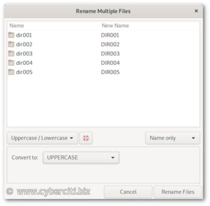Renaming multiple folder using command line