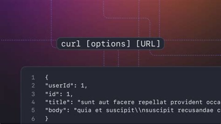 request mysql with curl