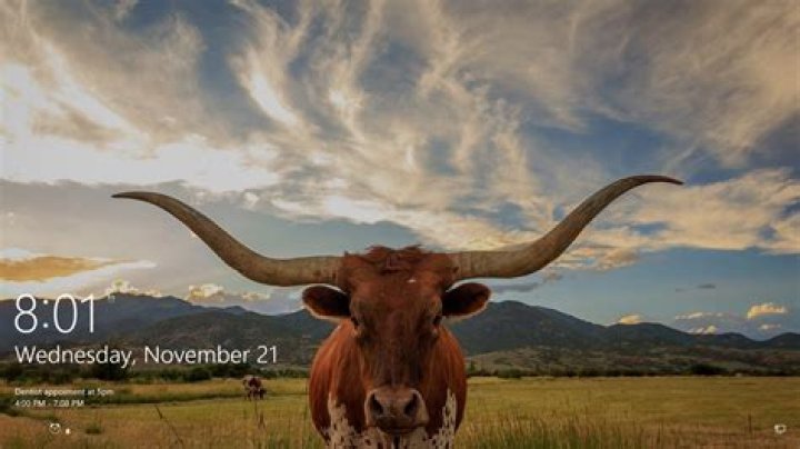 Retrieve Custom Windows 10 Lock Screen Image
