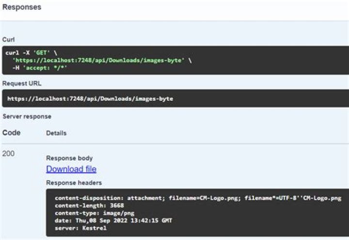 Return file in ASP.Net Core Web API