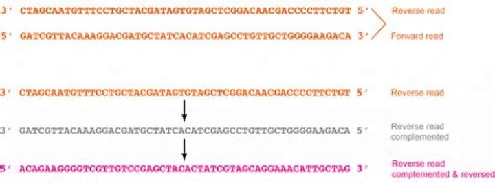 Reverse complement of DNA strand using Python
