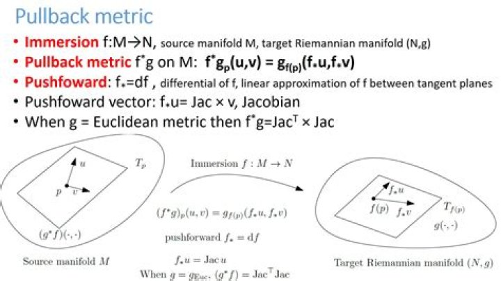 Riemann metric in the open disk