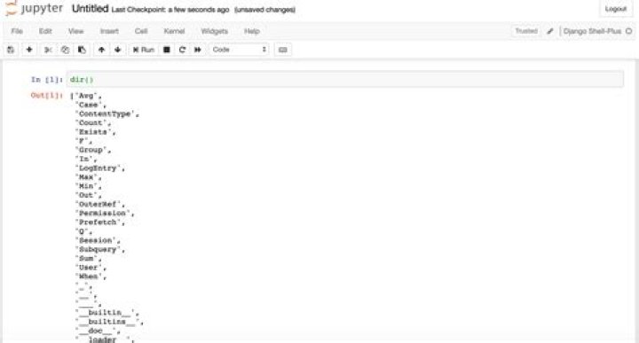 Root access for Jupyter/iPython Notebook