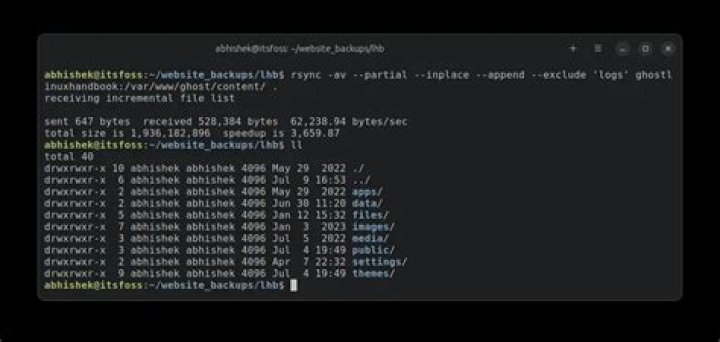 Rsync copying excluded directories
