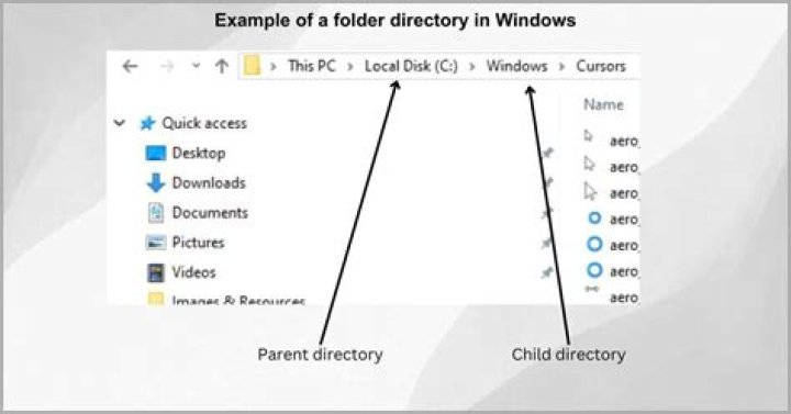 Rsync returns “such file or directory” when running command