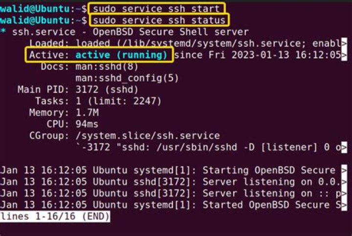 rsync with remote sudo fails over ssh on Ubuntu Mate 18.04.2