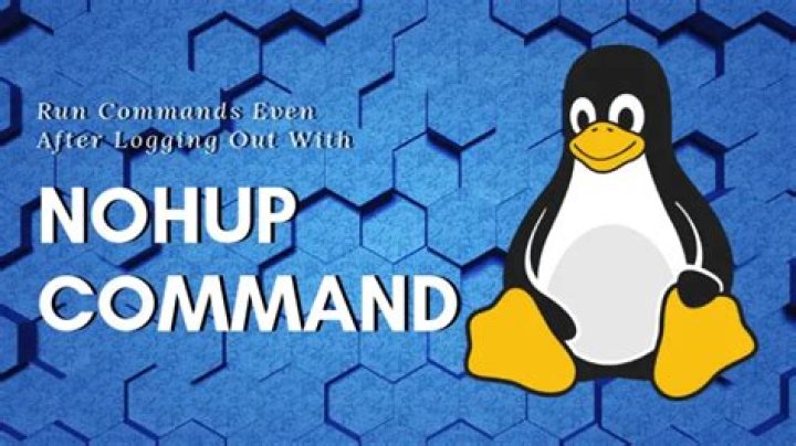 Run a nohup command over SSH, then disconnect