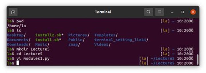 running python in vim