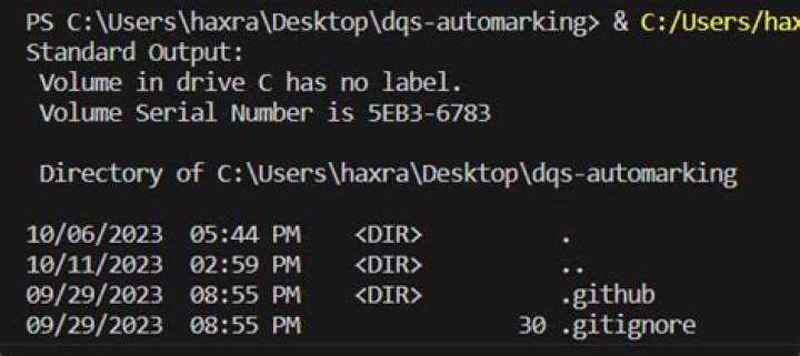 Running shell command and capturing the output