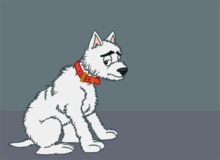 Sad Dawg's user avatar