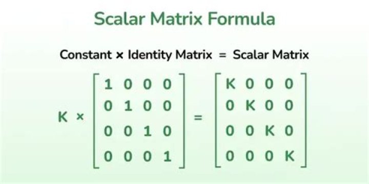 Scalar Factors in a Matrix