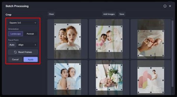 screenshot batch crop 1 picture but get error