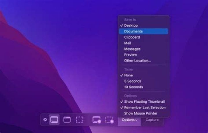 Screenshot of options