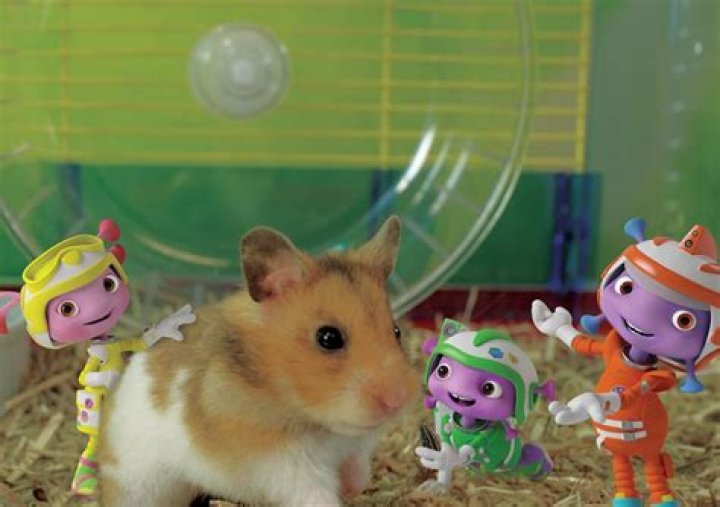 Screenshot of Project Hamster by Toms Bauģis