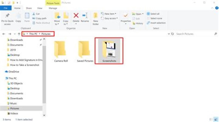 screenshot of the file.
