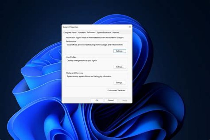 Screenshot: Open Advanced Options