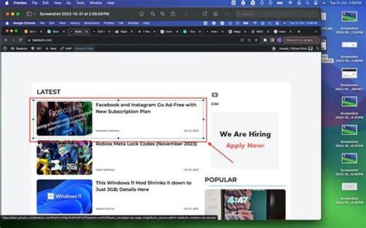 Screenshot Rectangular Selection