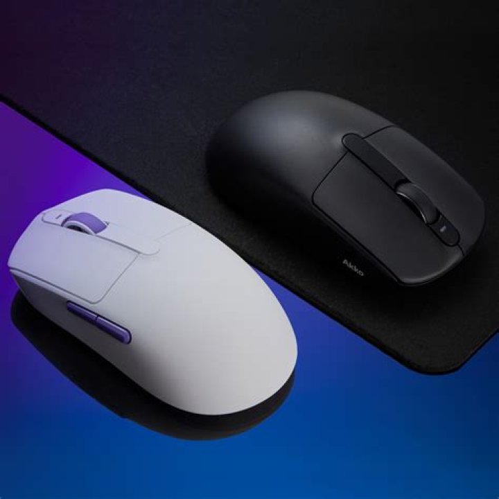 Search for mouse in Dash