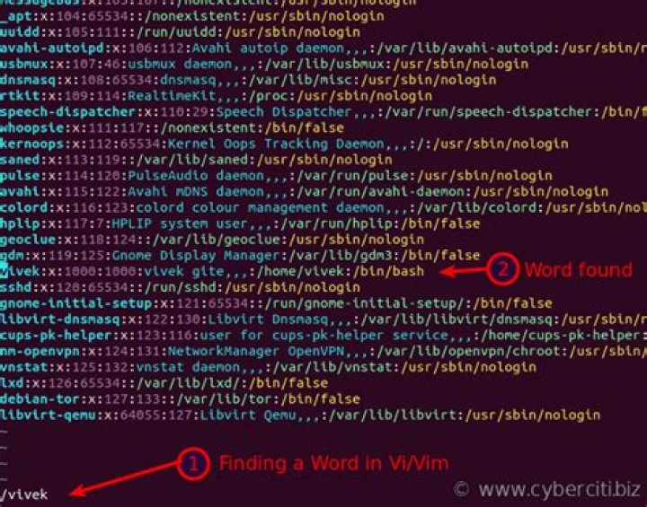 Searching word in vim?