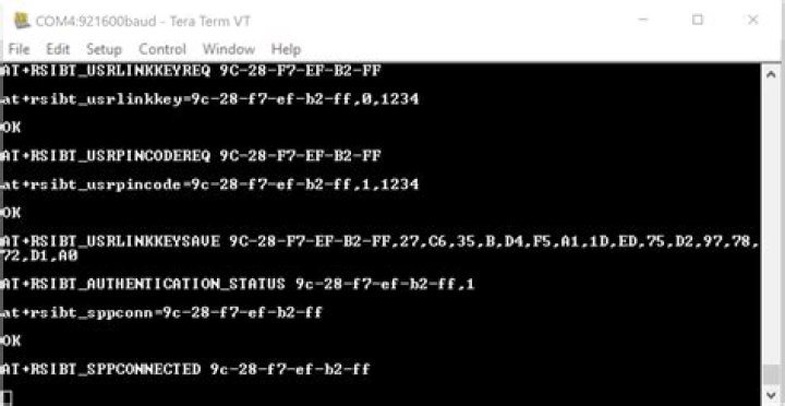 Sending commands to a Tera Term via script file