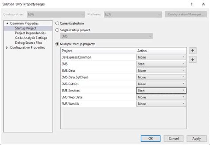 Set as StartUp Project