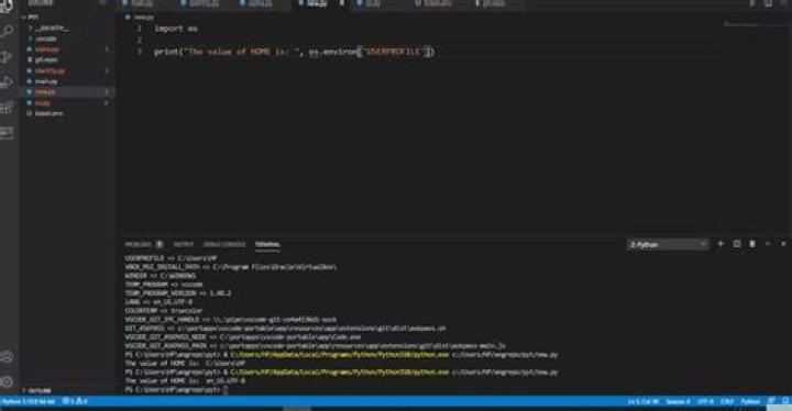 set environment variable in python script