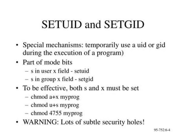 Setuid and setgid not working
