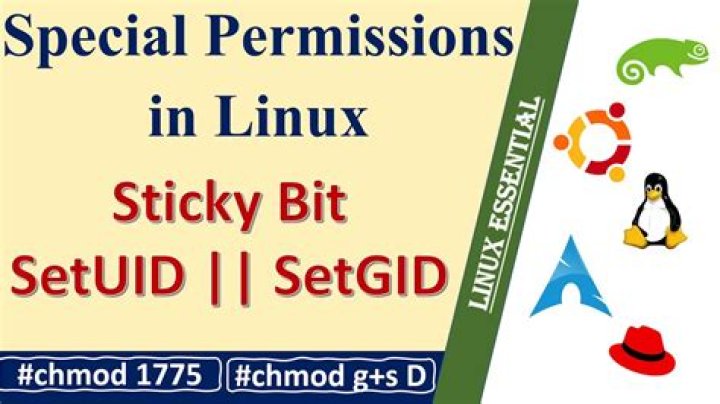 Setuid , Setgid and Stickbit in Linux
