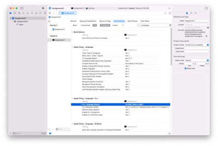Show console after build and go in XCode [closed]