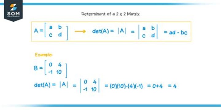 Show that if $p(X) = X^2 - (a+d)X + (ad-bc)$ and $A $ is a $2 \times 2$ matrix, then $p(A) = 0$