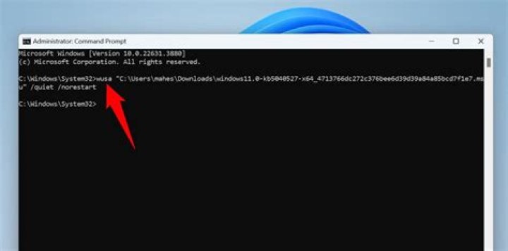 showing the command to install npm