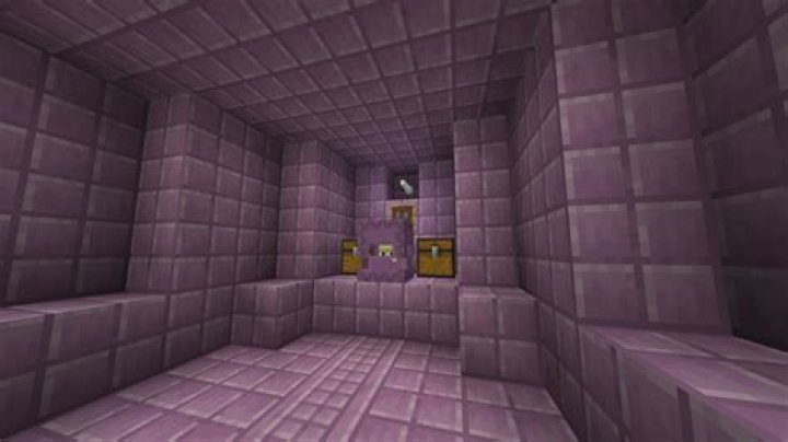 Shulker description