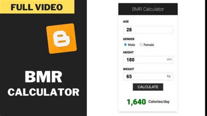 Simple BMR calculator HTML JavaScript