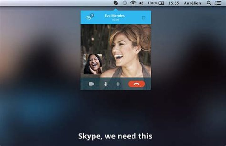 skype menu