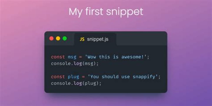 Snippet from VSCode instructions